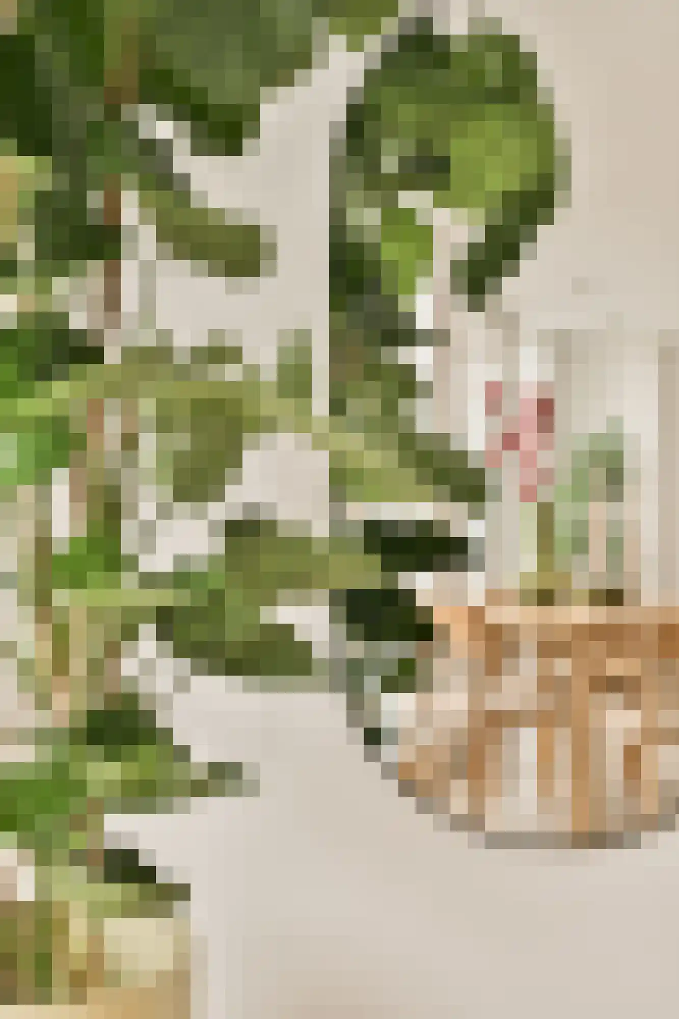 Breughelstraat 8 2 Amsterdam thumbnail 42
