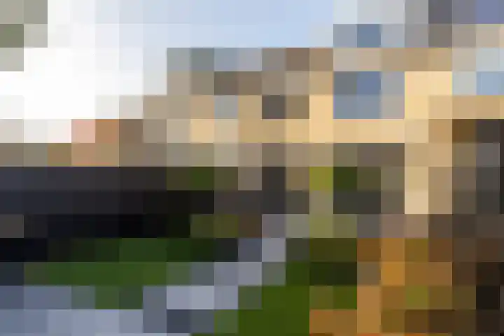 Breughelstraat 9 Oud-Beijerland thumbnail 36