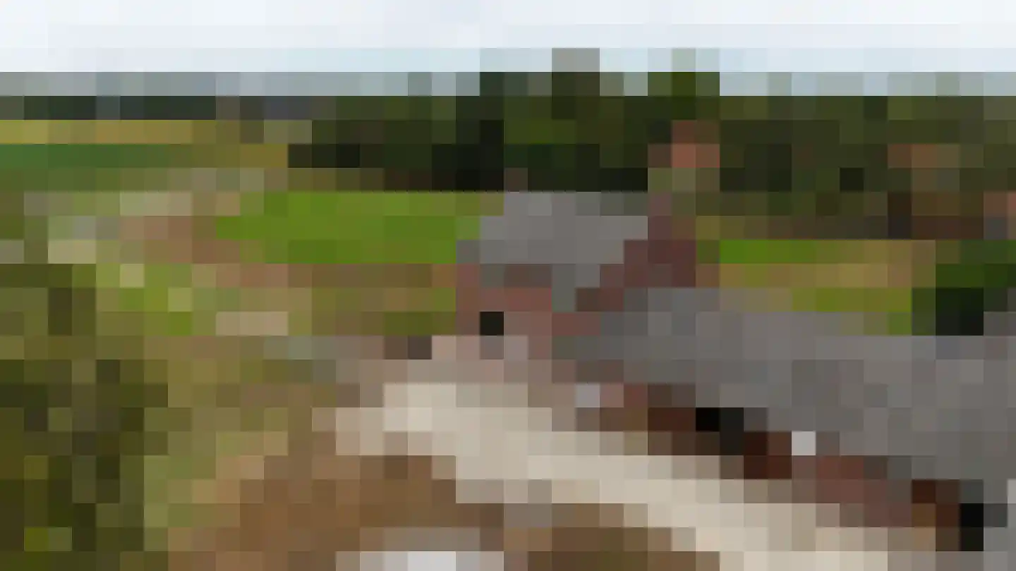 Breukelderveestraat 27 Maria Hoop thumbnail 26