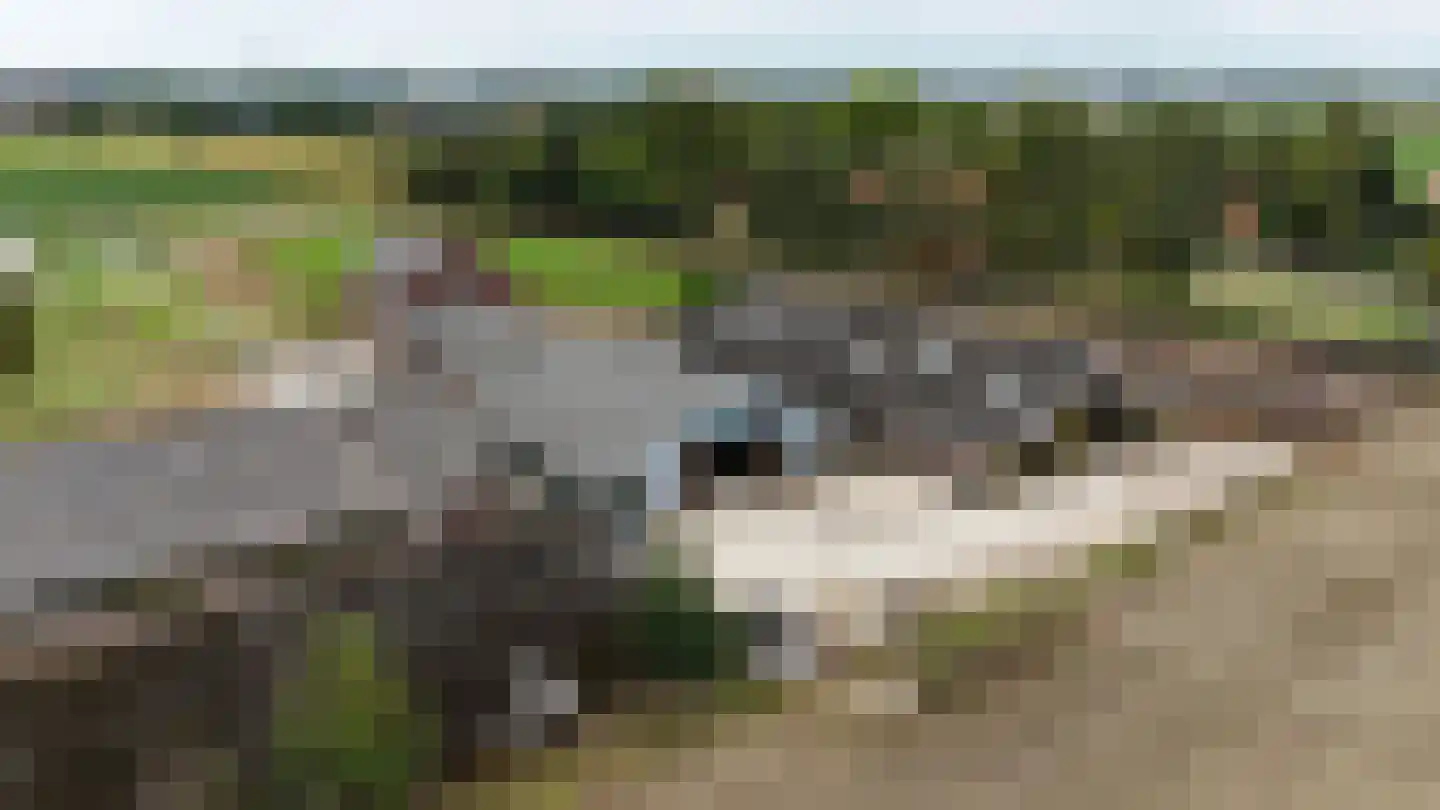 Breukelderveestraat 27 Maria Hoop thumbnail 30