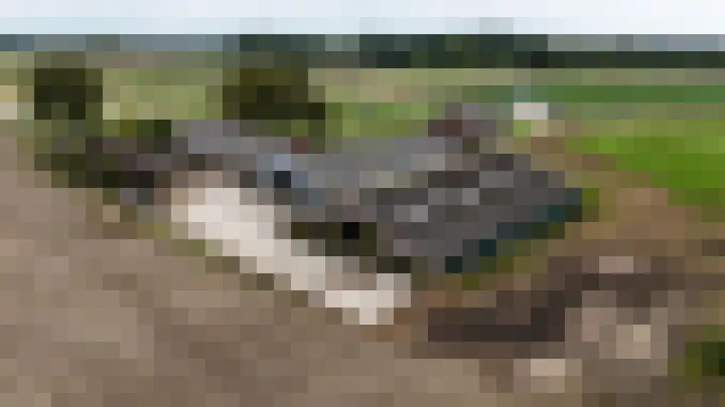 Breukelderveestraat 27 Maria Hoop thumbnail 34