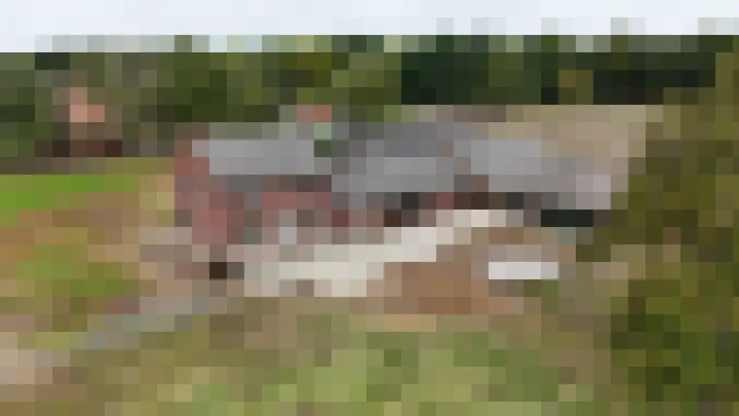 Breukelderveestraat 27 Maria Hoop thumbnail 4