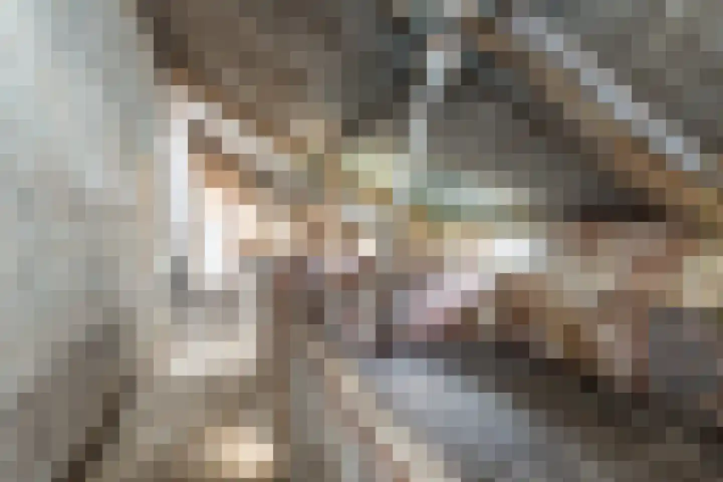 Breukelderveestraat 27 Maria Hoop thumbnail 41