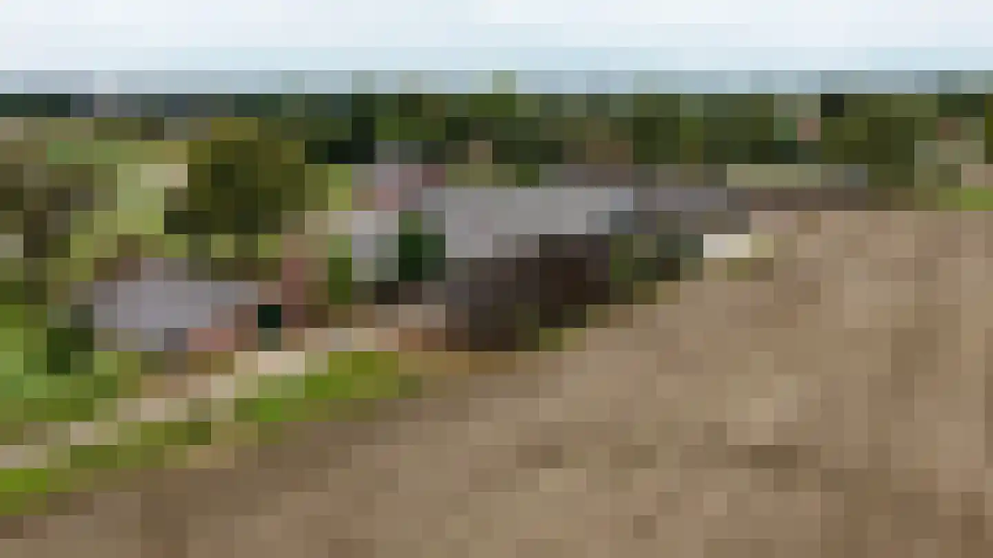Breukelderveestraat 27 Maria Hoop thumbnail 49