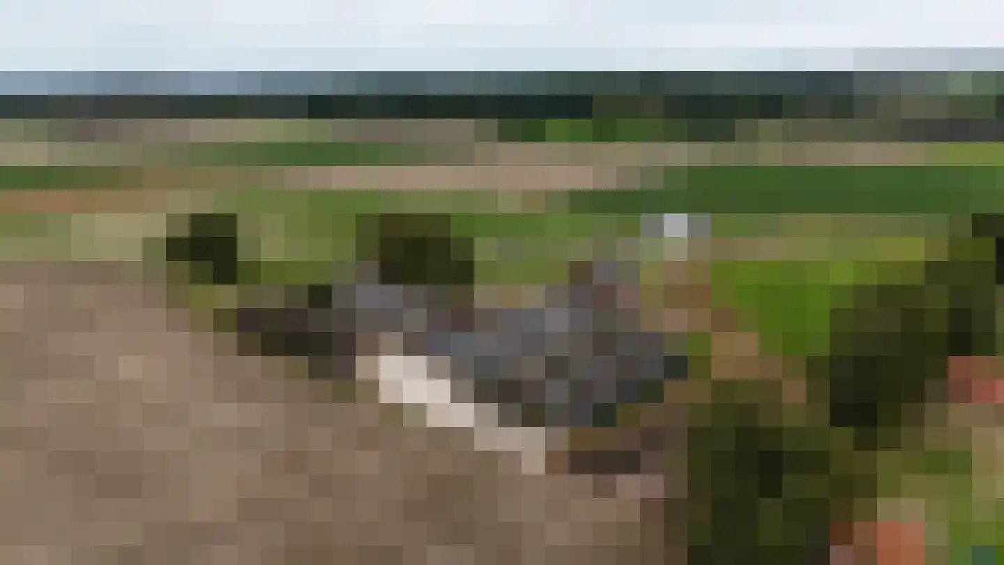 Breukelderveestraat 27 Maria Hoop thumbnail 53