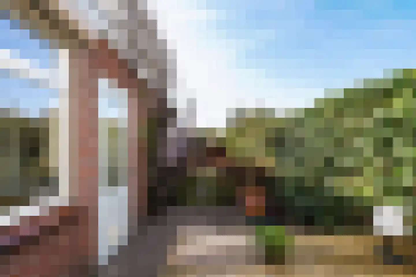 Breukelsestraat 19 Boxtel thumbnail 49