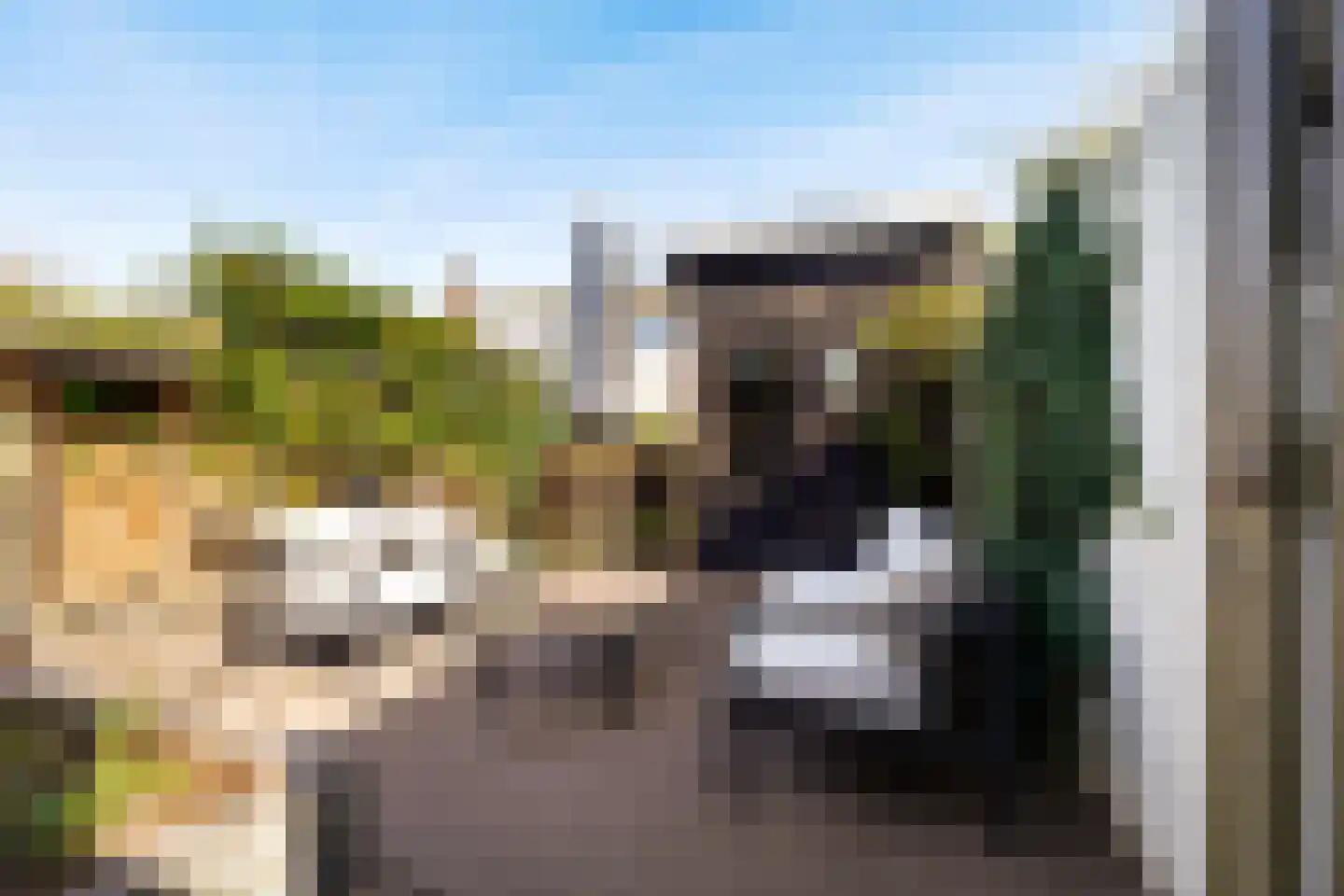 Breukelsestraat 19 Boxtel thumbnail 51