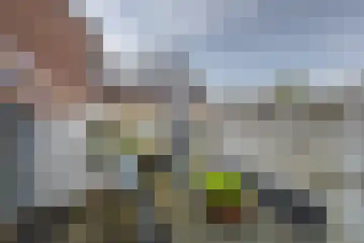 Breukenhof 28 Tegelen thumbnail 27
