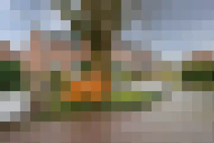 Breukenhof 28 Tegelen thumbnail 33