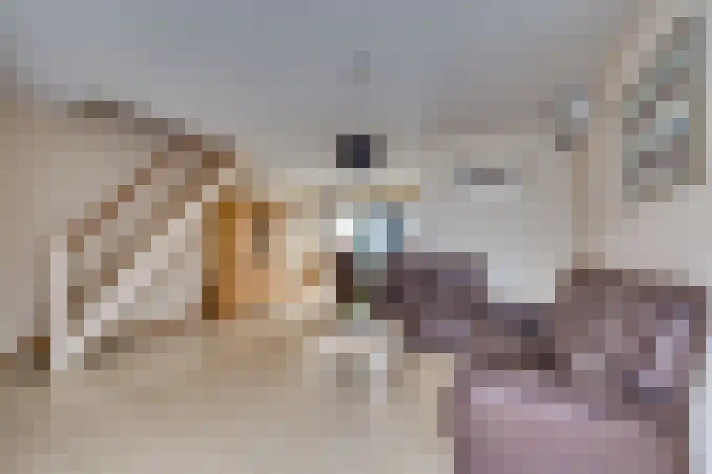 Breukenhof 30 Tegelen thumbnail 11