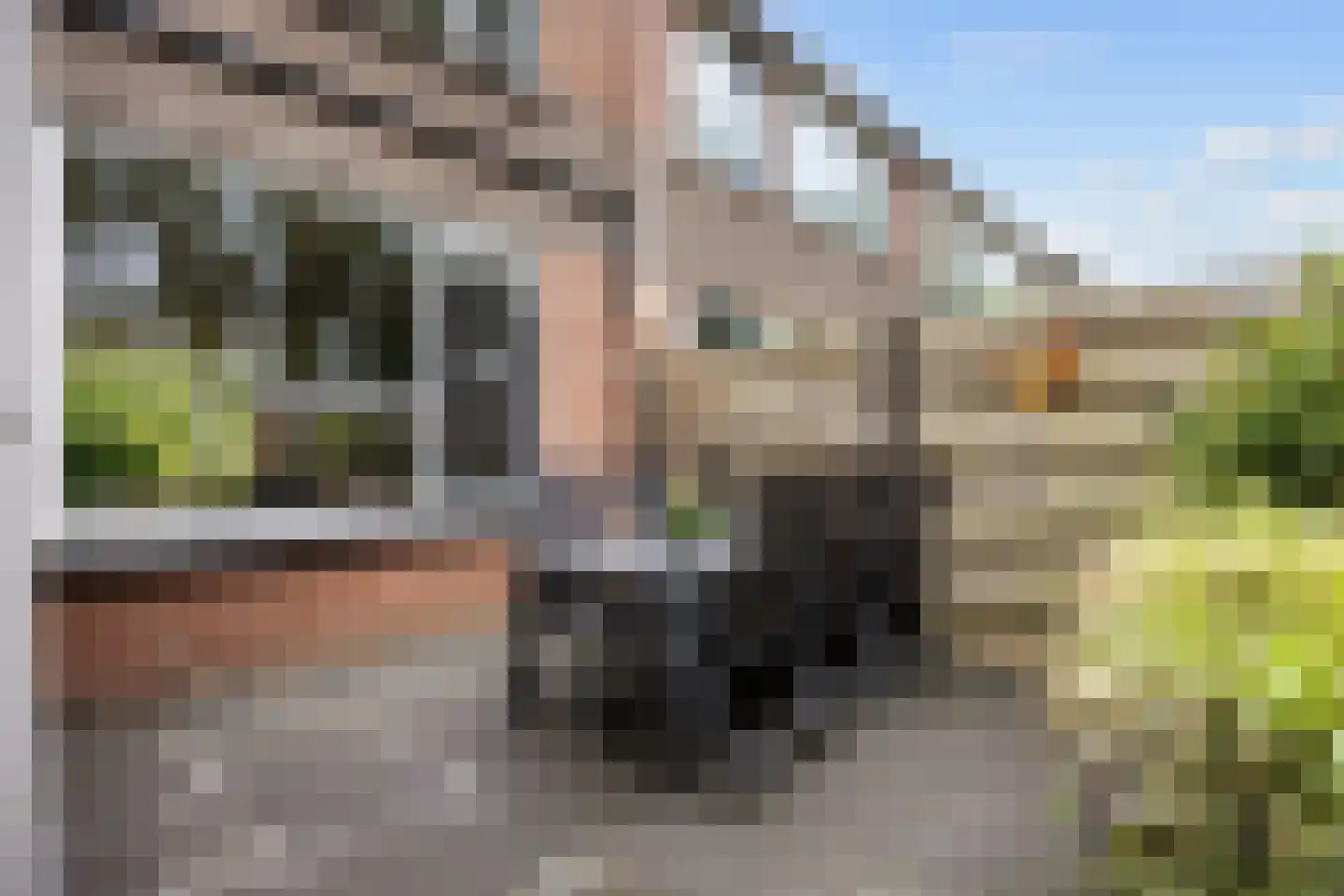 Breukenweg 55 Yde thumbnail 35