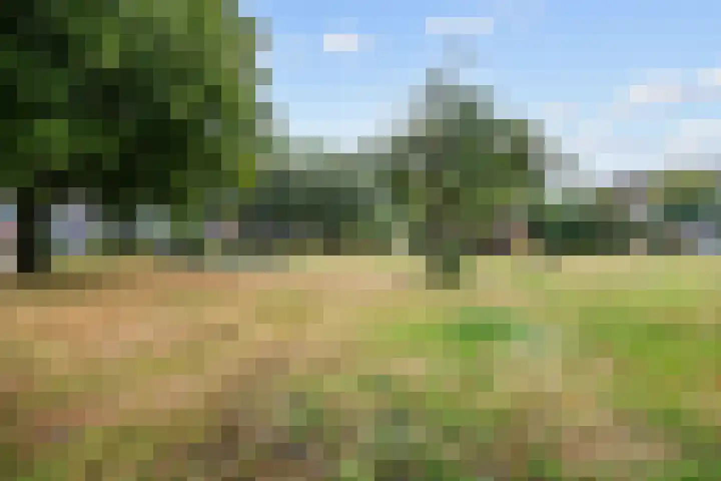 Breukenweg 55 Yde thumbnail 45