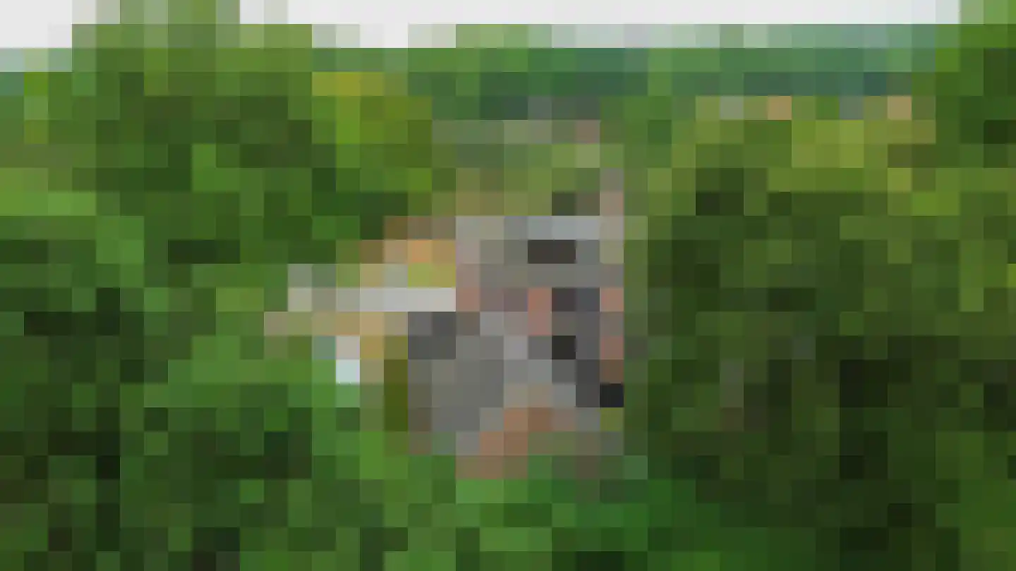 Breukenweg 55 Yde thumbnail 47