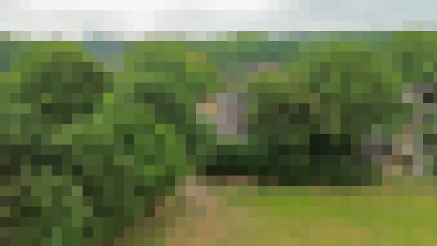 Breukenweg 55 Yde thumbnail 48