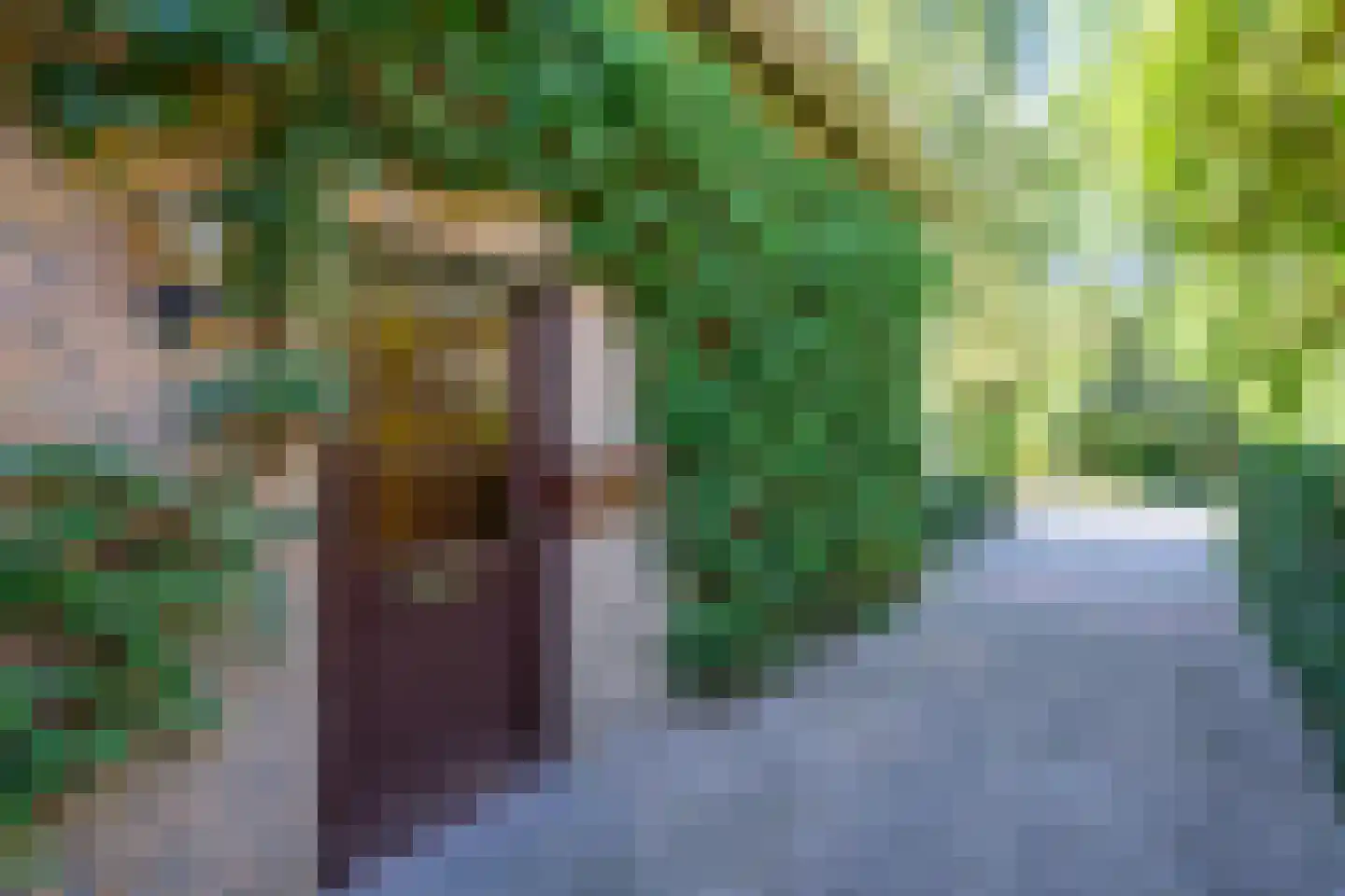 Breukinklaan 22 Dieren thumbnail 28