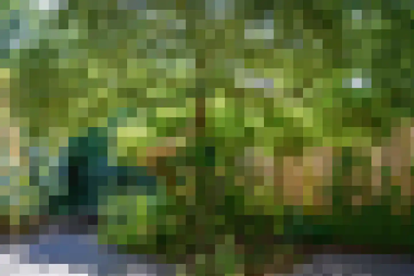 Breukinklaan 22 Dieren thumbnail 31