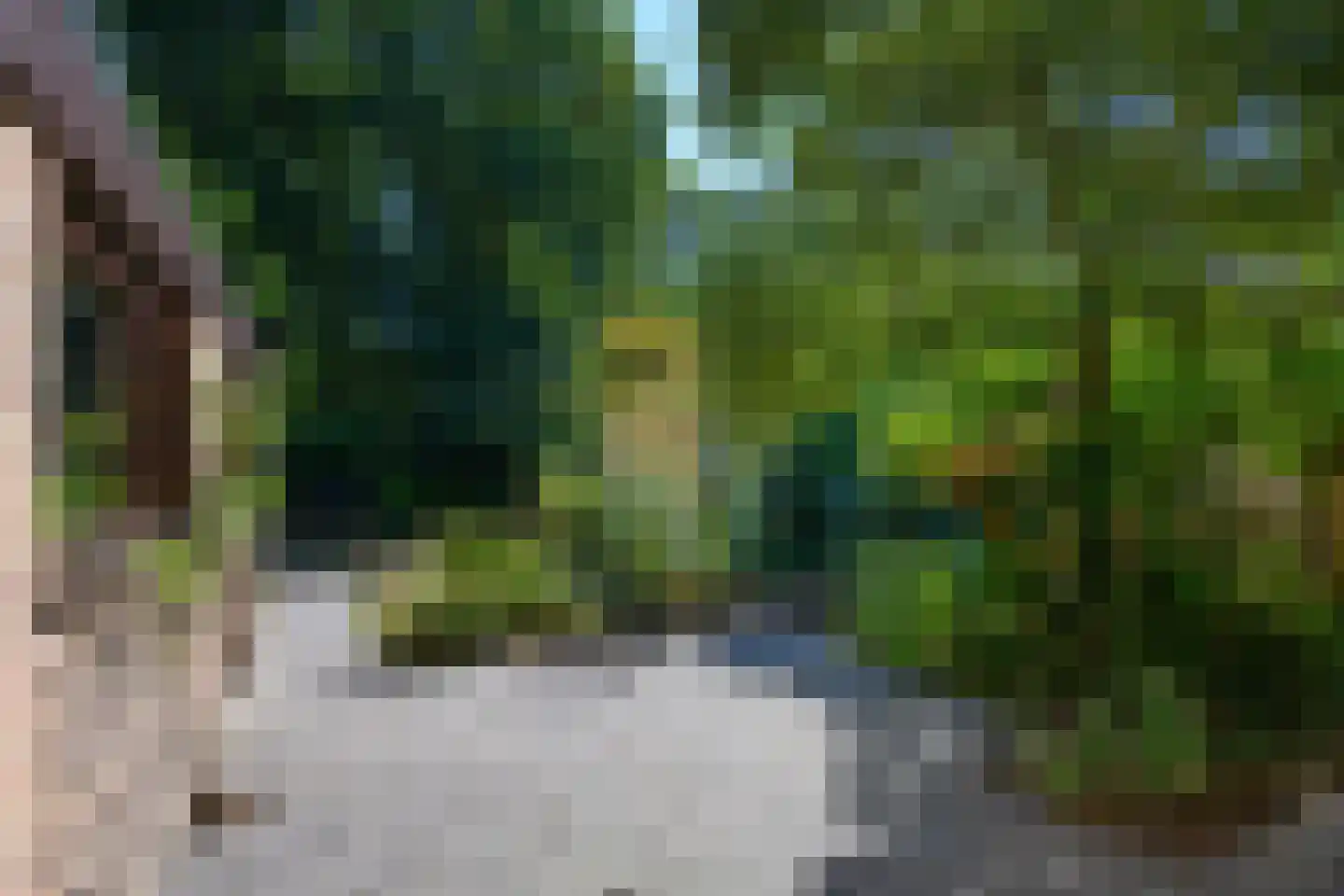 Breukinklaan 22 Dieren thumbnail 32