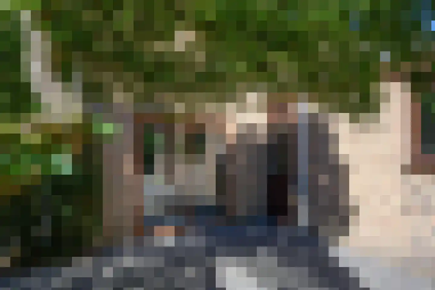 Breukinklaan 22 Dieren thumbnail 34