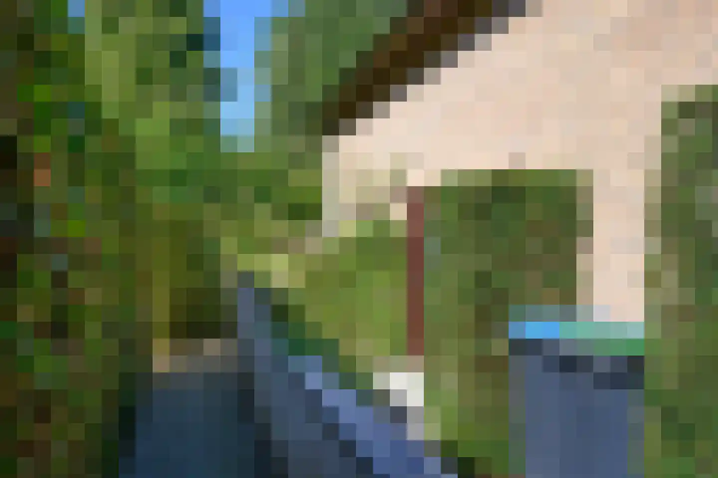 Breukinklaan 22 Dieren thumbnail 35