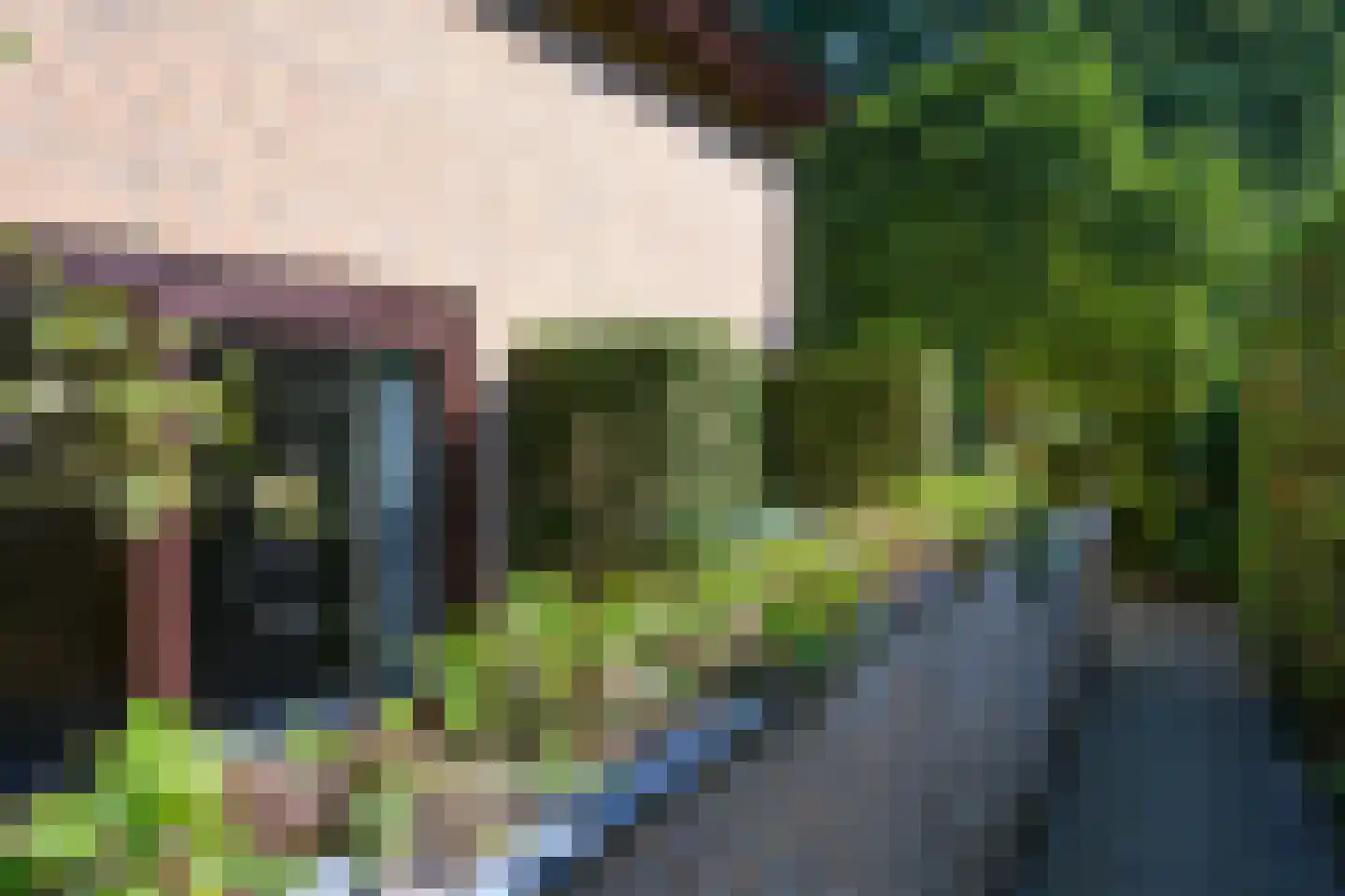 Breukinklaan 22 Dieren thumbnail 37
