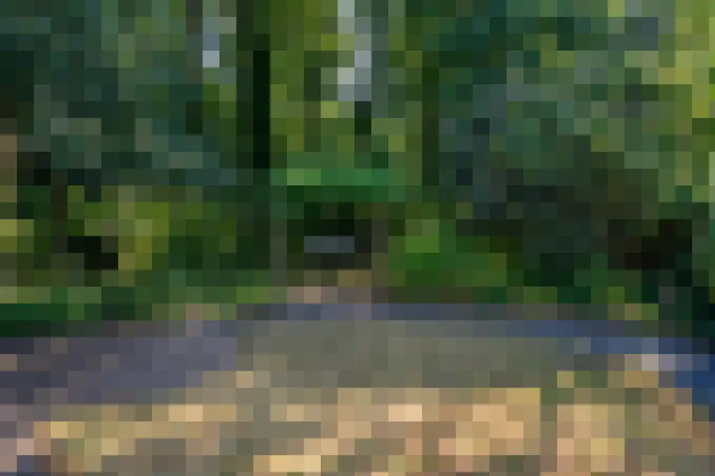 Breukinklaan 22 Dieren thumbnail 38