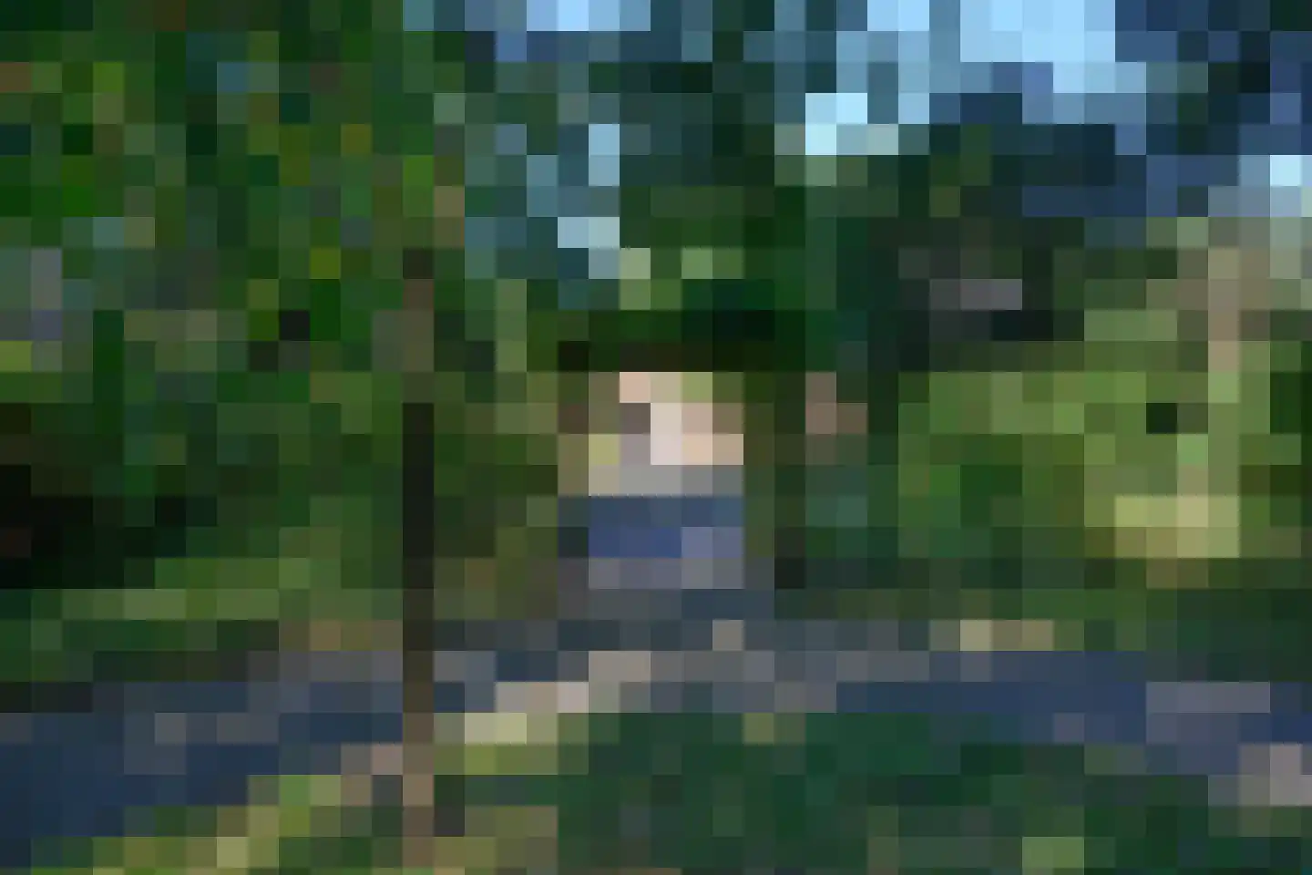 Breukinklaan 22 Dieren thumbnail 41