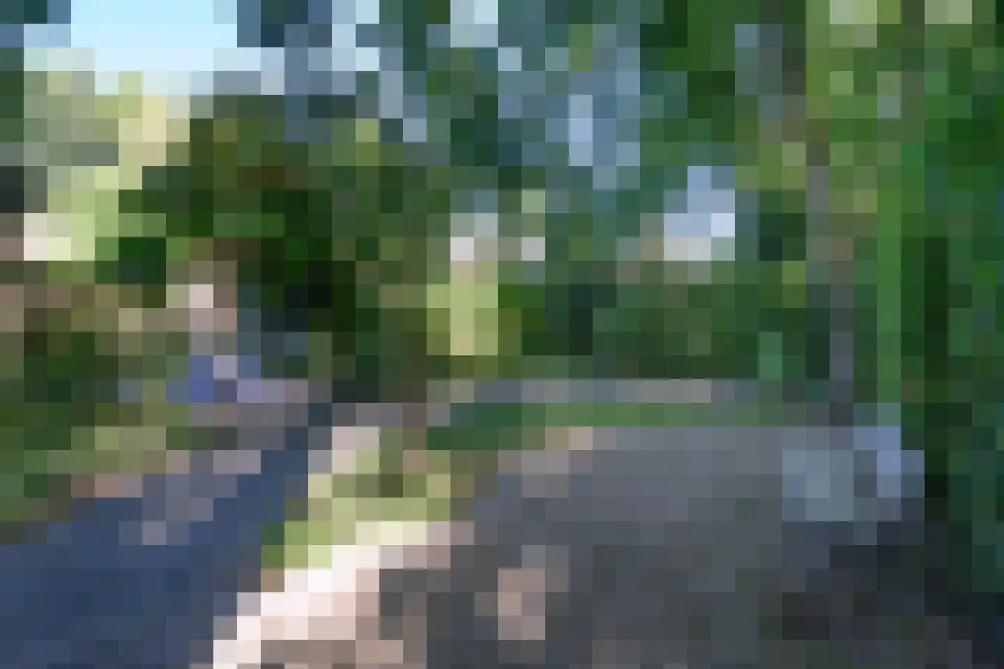 Breukinklaan 22 Dieren thumbnail 42