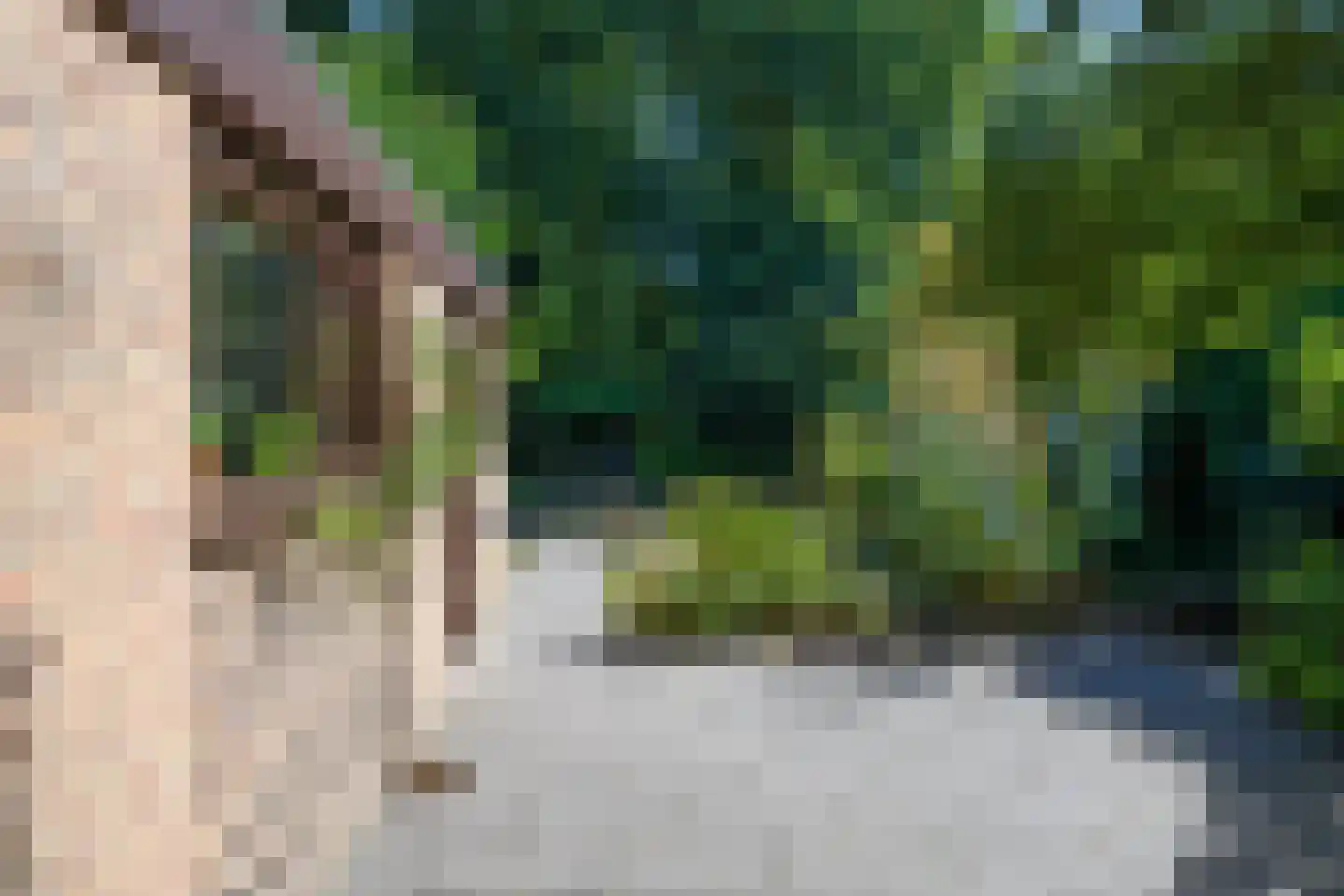 Breukinklaan 22 Dieren thumbnail 43