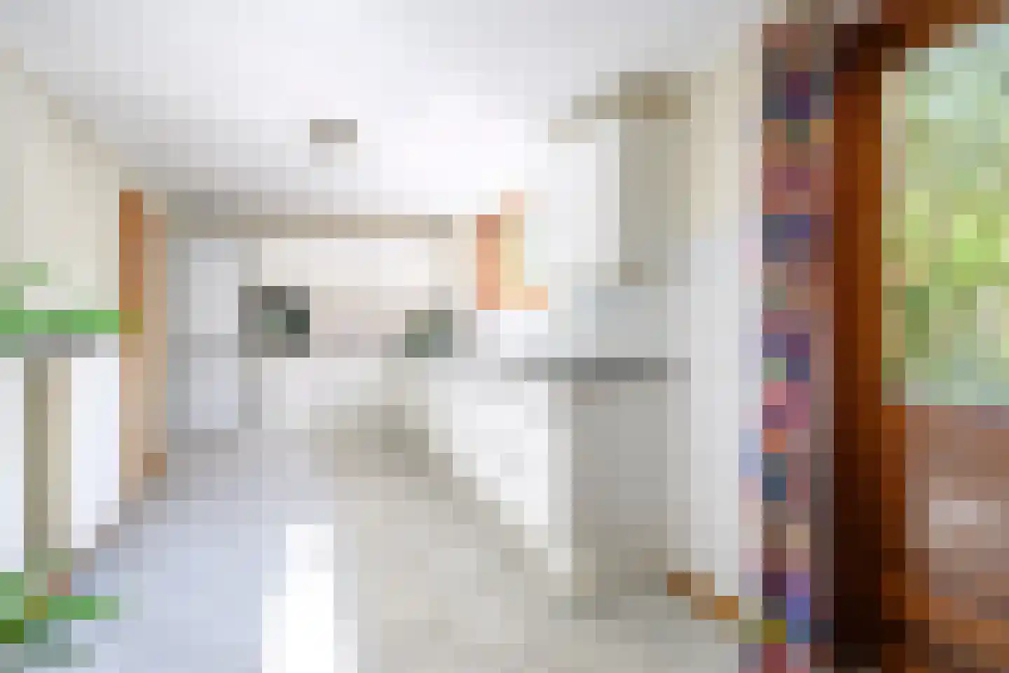 Breukinklaan 22 Dieren thumbnail 5