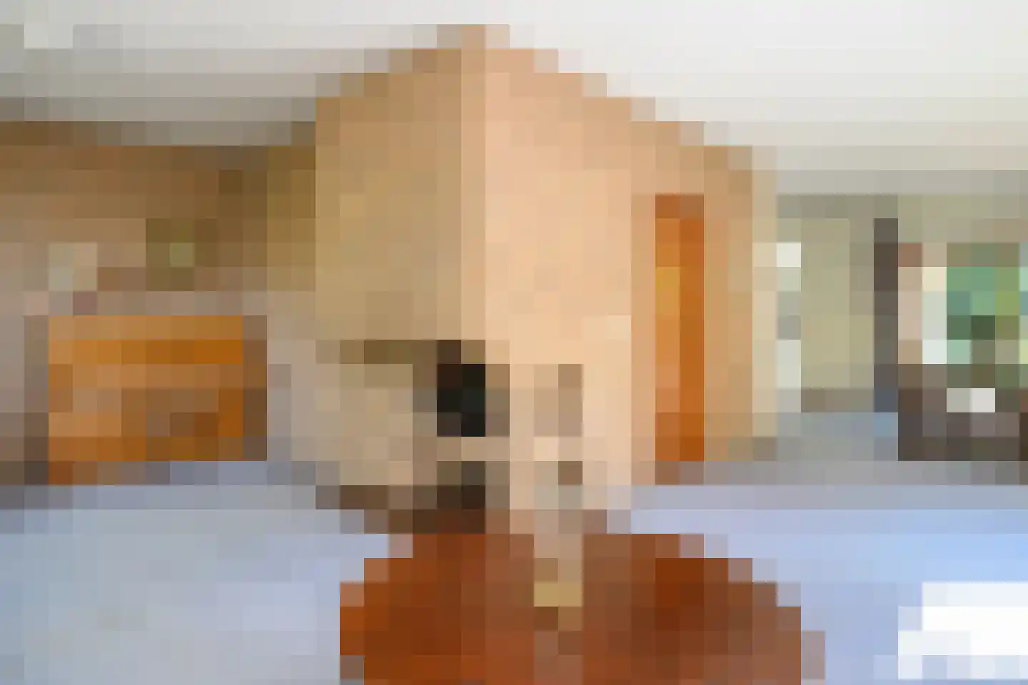 Breukinklaan 22 Dieren thumbnail 7