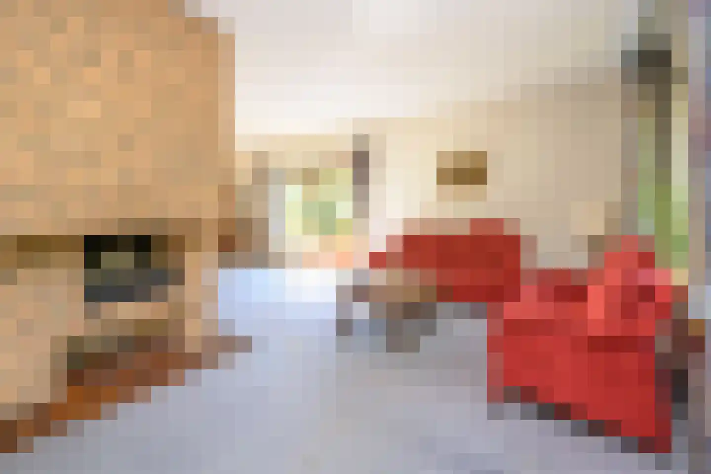 Breukinklaan 22 Dieren thumbnail 8