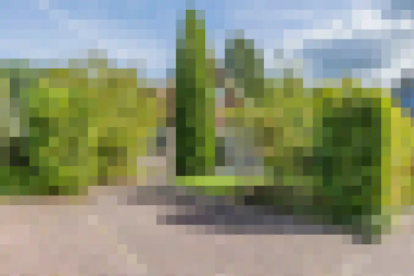 Breukinkweg 3 45 Winterswijk Miste thumbnail 19