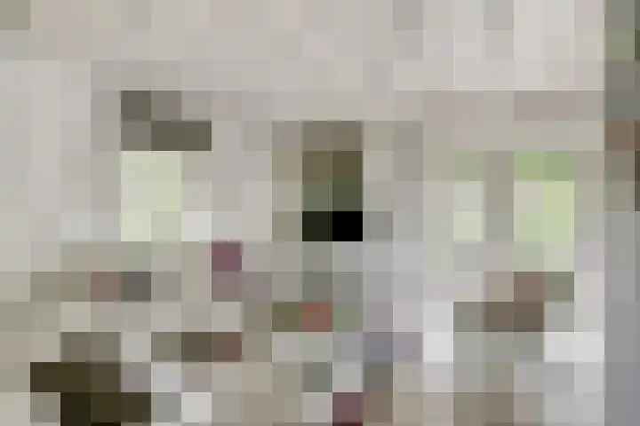 Breukinkweg 3 51 Winterswijk Miste foto 2