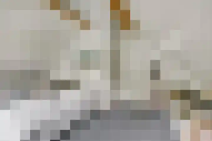 Breukinkweg 3 51 Winterswijk Miste thumbnail 24