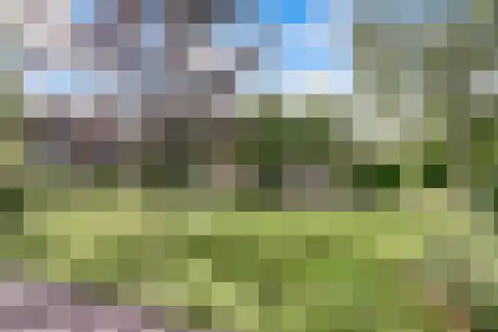 Breukinkweg 3 51 Winterswijk Miste thumbnail 33