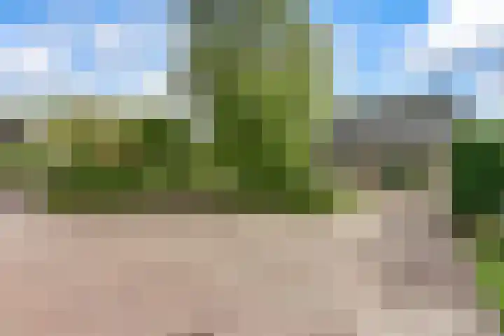 Breukinkweg 3 51 Winterswijk Miste thumbnail 7