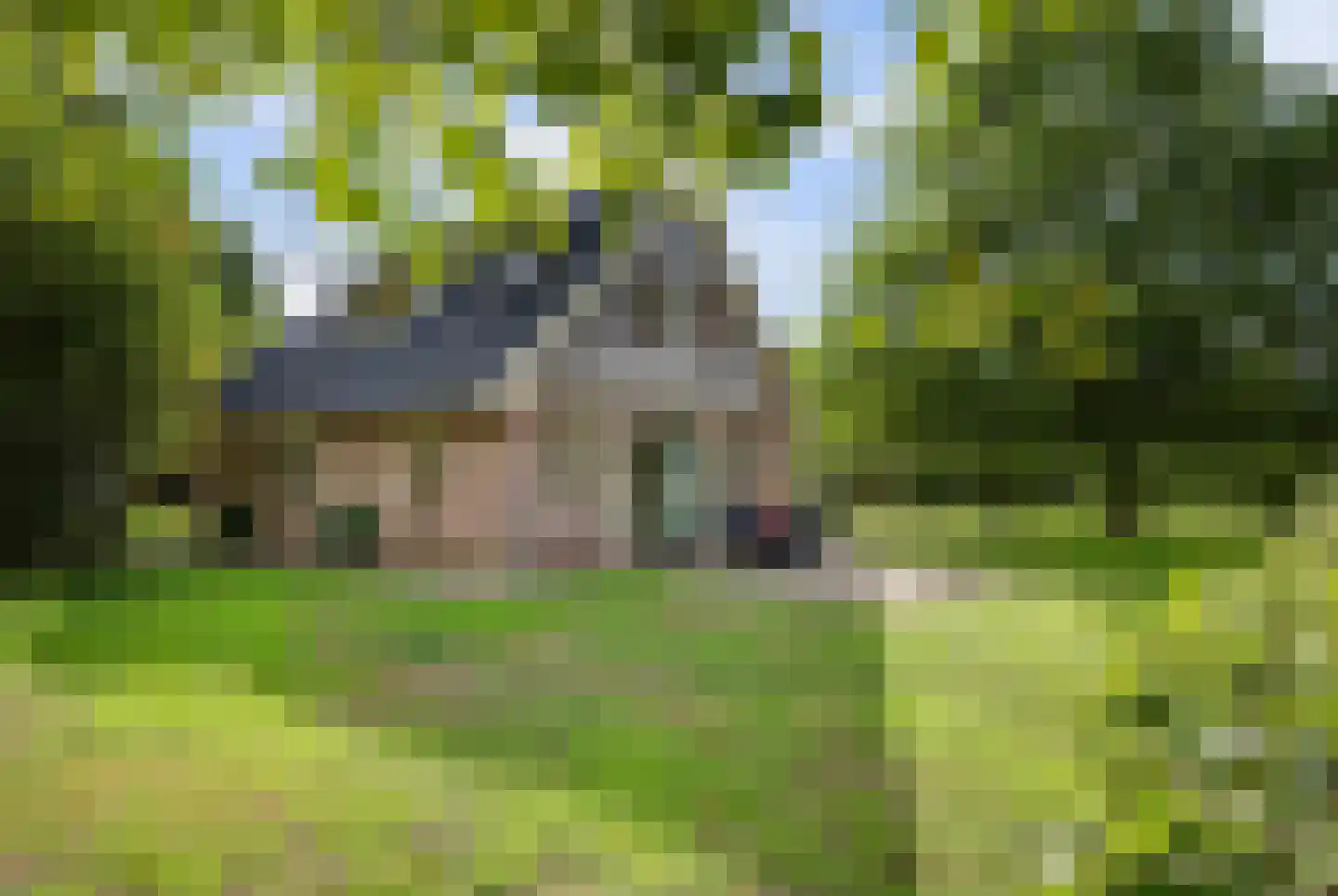 Breukinkweg 3 52 Winterswijk Miste thumbnail 30