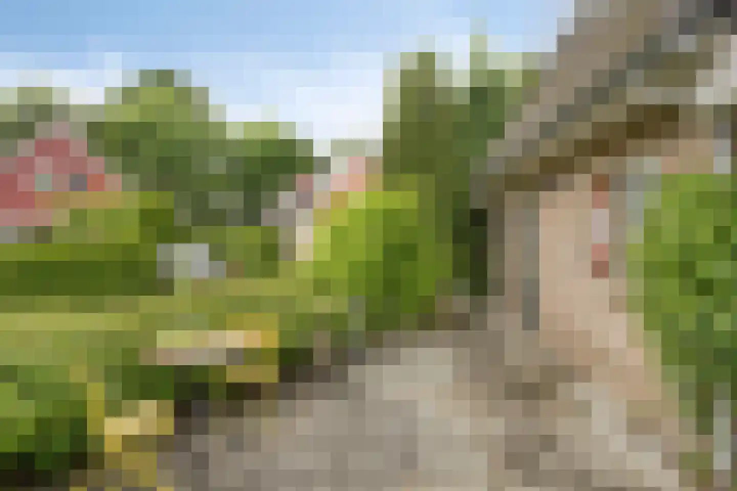 Breukinkweg 3 66 Winterswijk Miste thumbnail 23