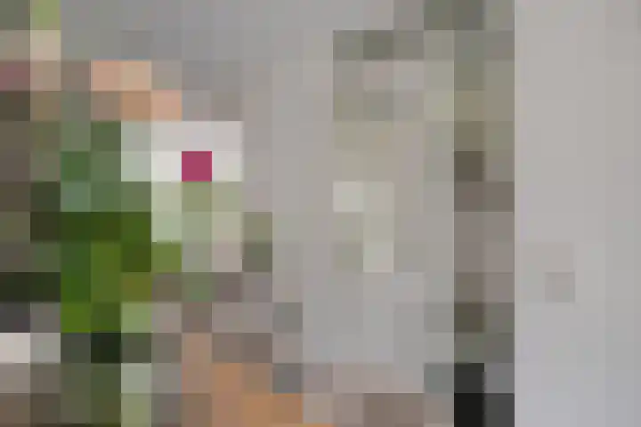 Breukkruid 2 Veenendaal thumbnail 11