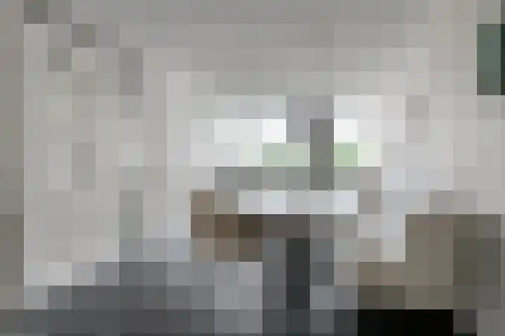 Breukkruid 2 Veenendaal thumbnail 14