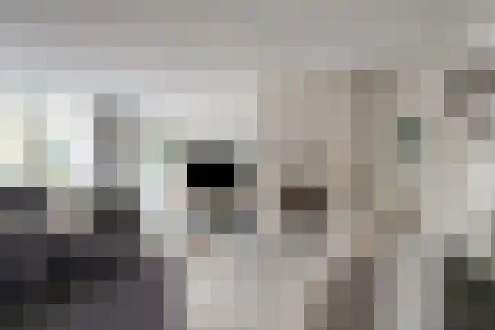 Breukkruid 2 Veenendaal thumbnail 15