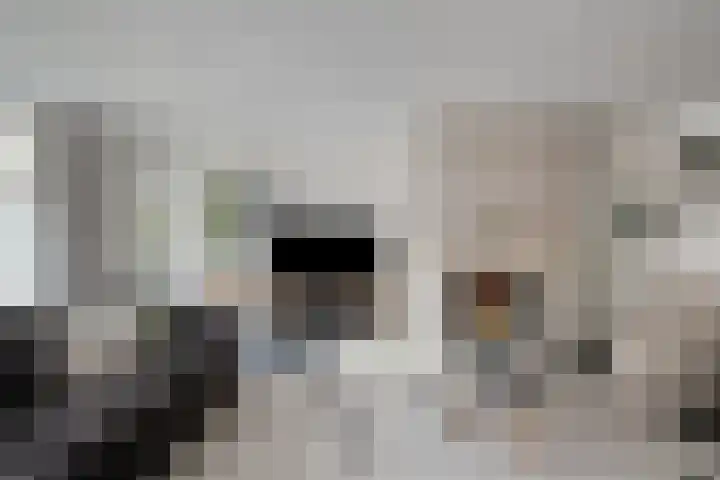 Breukkruid 2 Veenendaal thumbnail 17