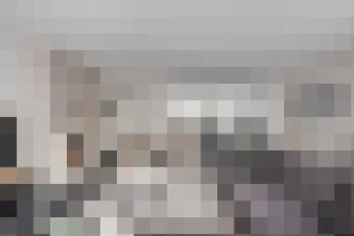 Breukkruid 2 Veenendaal thumbnail 18