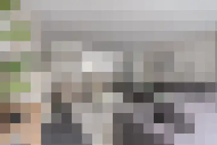 Breukkruid 2 Veenendaal thumbnail 19