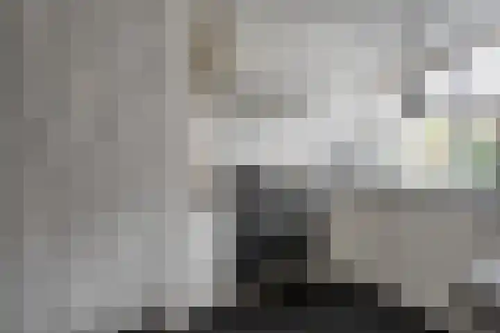 Breukkruid 2 Veenendaal thumbnail 22