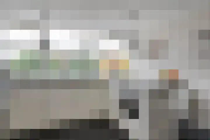 Breukkruid 2 Veenendaal thumbnail 23