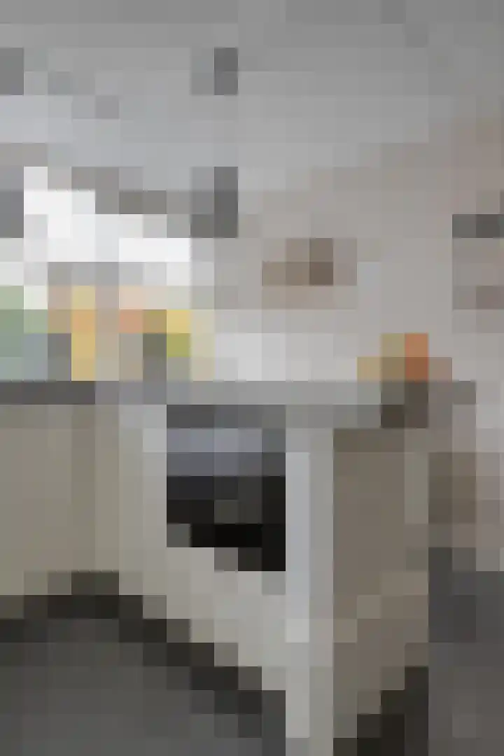 Breukkruid 2 Veenendaal thumbnail 25