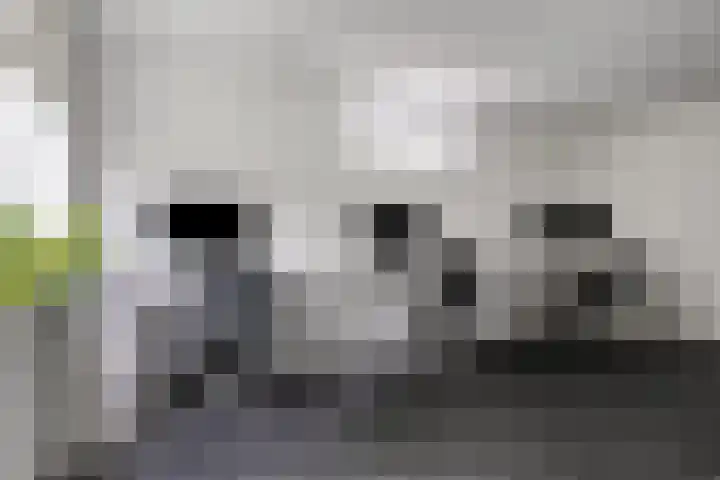 Breukkruid 2 Veenendaal thumbnail 26