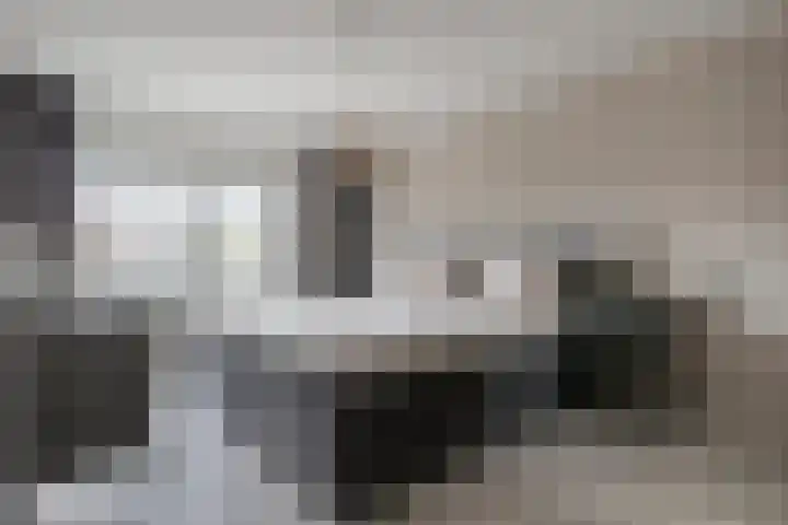 Breukkruid 2 Veenendaal thumbnail 30