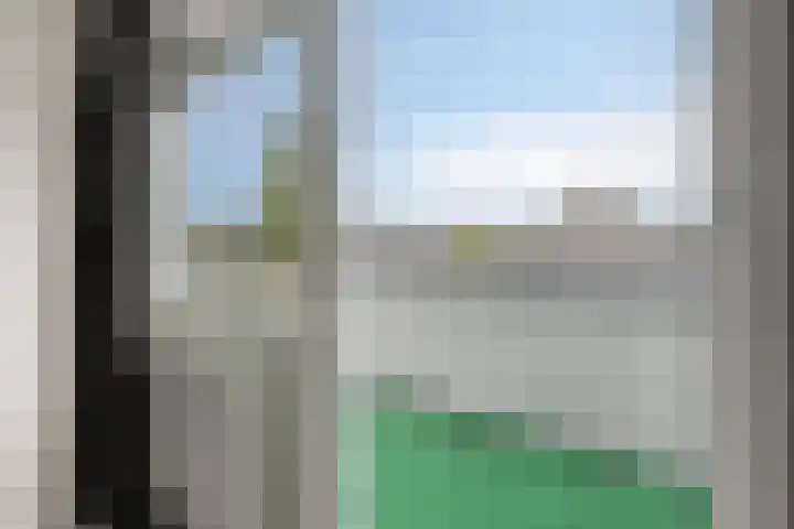 Breukkruid 2 Veenendaal thumbnail 32